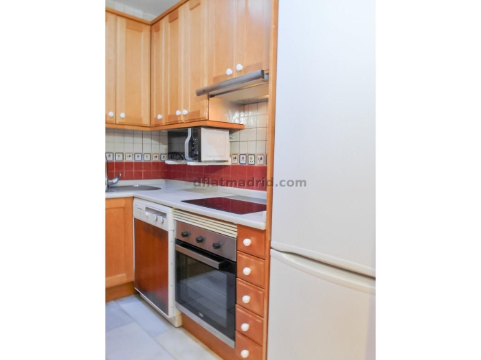 Apartamento Tranquilo en Chamartin de 1 Dormitorio #1587 en Madrid