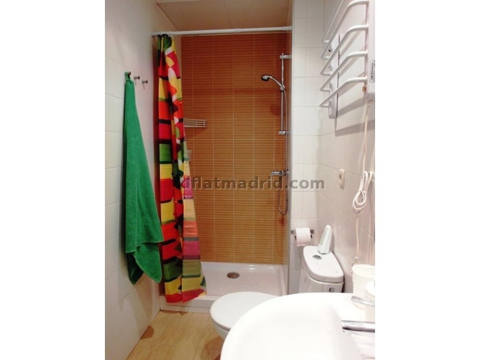 Apartamento Luminoso en Centro de 2 Dormitorios #1593 en Madrid