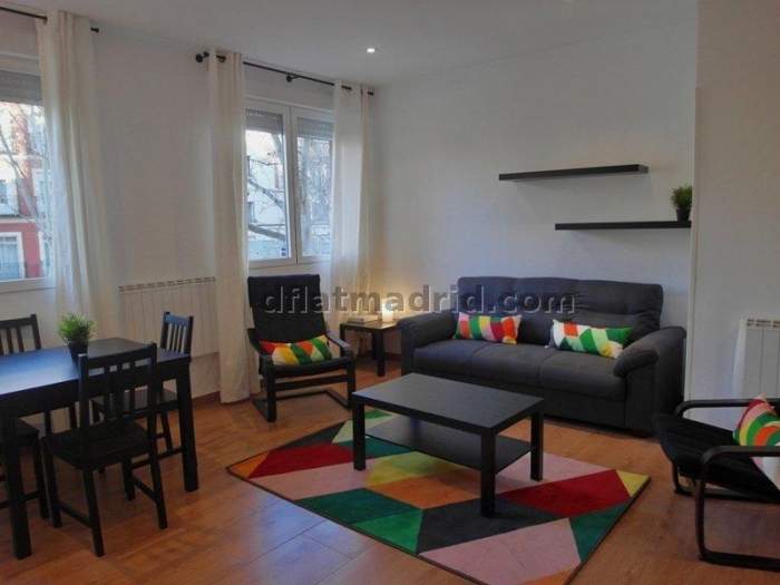 Apartamento Luminoso en Centro de 2 Dormitorios #1593 en Madrid