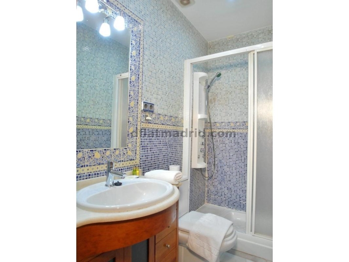 Apartamento en Chamartin de 1 Dormitorio #1597 en Madrid