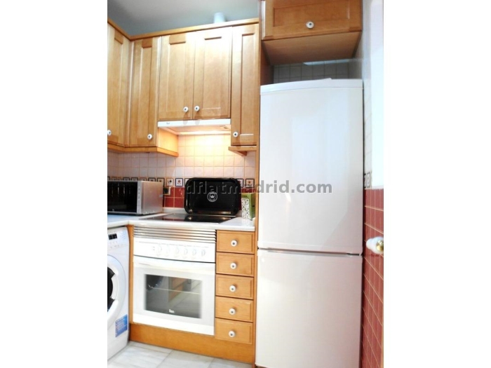 Apartamento en Chamartin de 1 Dormitorio #1597 en Madrid