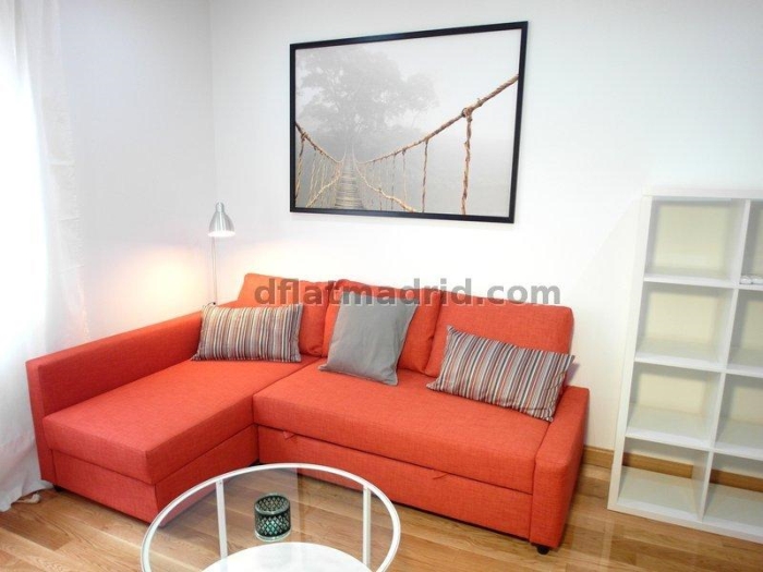 Apartamento en Chamartin de 1 Dormitorio #1597 en Madrid