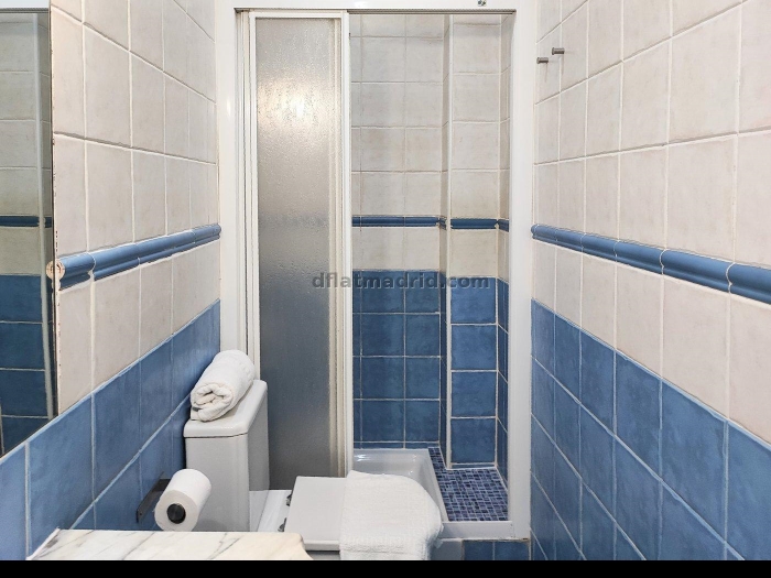 Apartamento Luminoso en Chamartin de 2 Dormitorios #1602 en Madrid