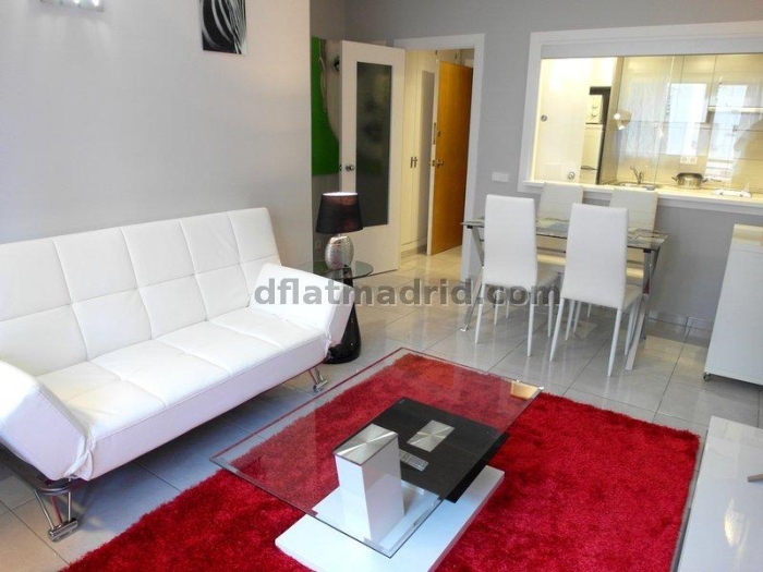 Apartamento en Chamartin de 1 Dormitorio con terraza #1606 en Madrid