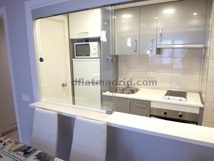 Apartamento en Chamartin de 1 Dormitorio con terraza #1606 en Madrid