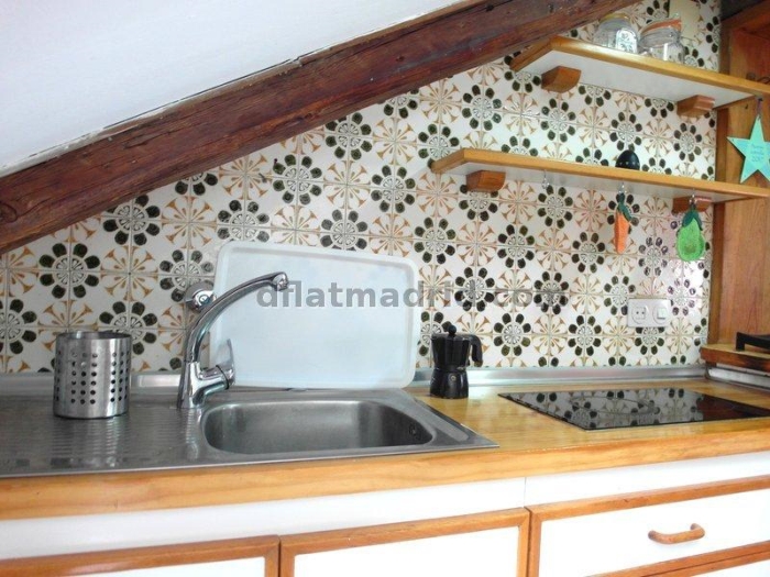 Bright Apartment in Centro of 2 Bedrooms with terrace #1609 in Madrid