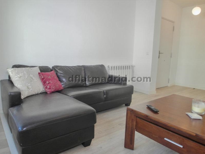 Bright Apartment in Centro of 1 Bedroom #1684 in Madrid