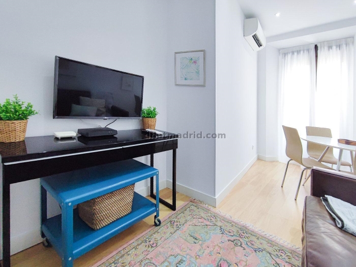 Apartamento Luminoso en Centro de 1 Dormitorio #1687 en Madrid