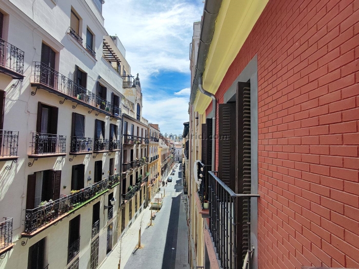 Bright Apartment in Centro of 1 Bedroom #1687 in Madrid