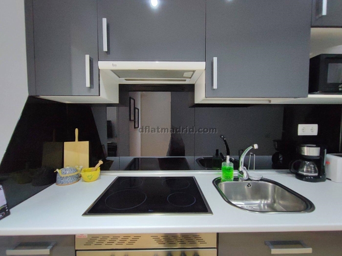 Bright Apartment in Centro of 1 Bedroom #1687 in Madrid