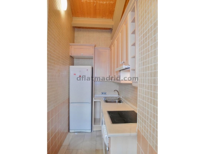 Apartamento en Chamartin de 1 Dormitorio #1693 en Madrid