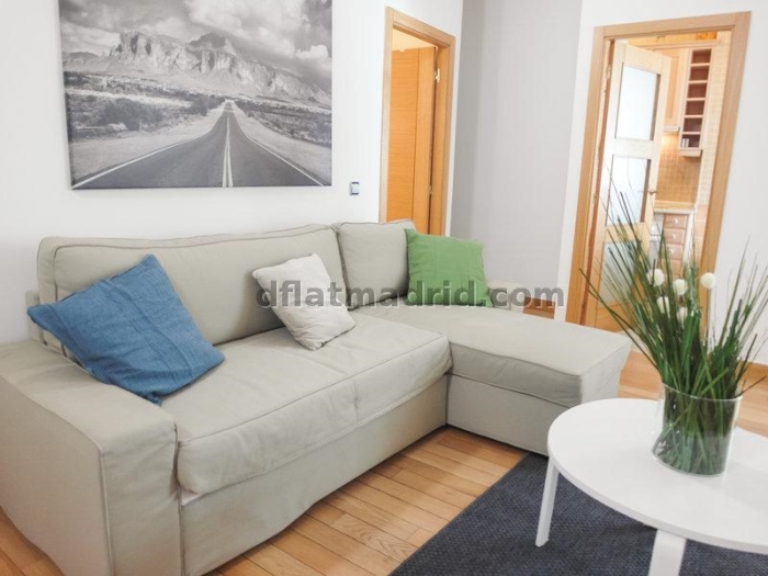 Apartamento en Chamartin de 1 Dormitorio #1693 en Madrid