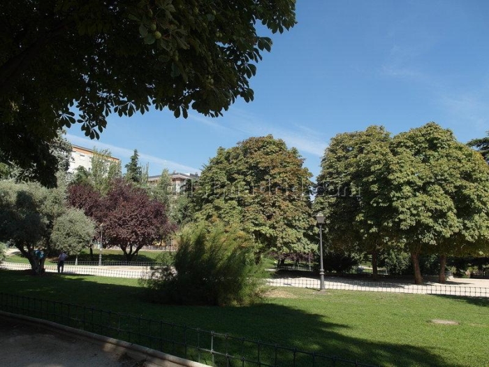Quiet Apartment in Chamartin of 2 Bedrooms with terrace #1694 in Madrid