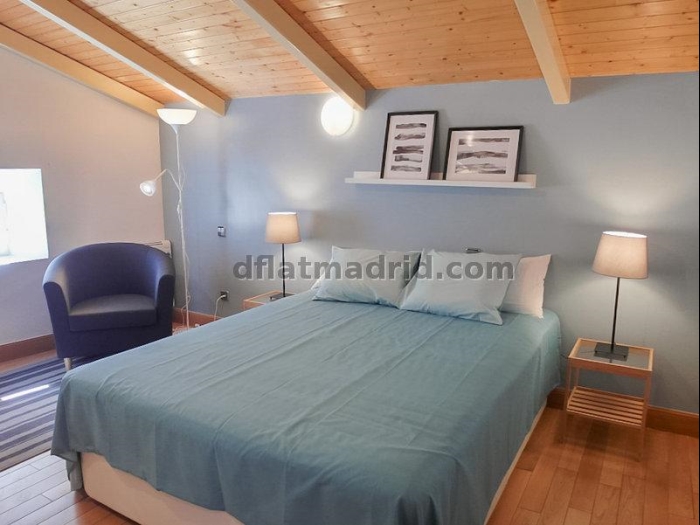 Apartamento Tranquilo en Chamartin de 2 Dormitorios con terraza #1694 en Madrid