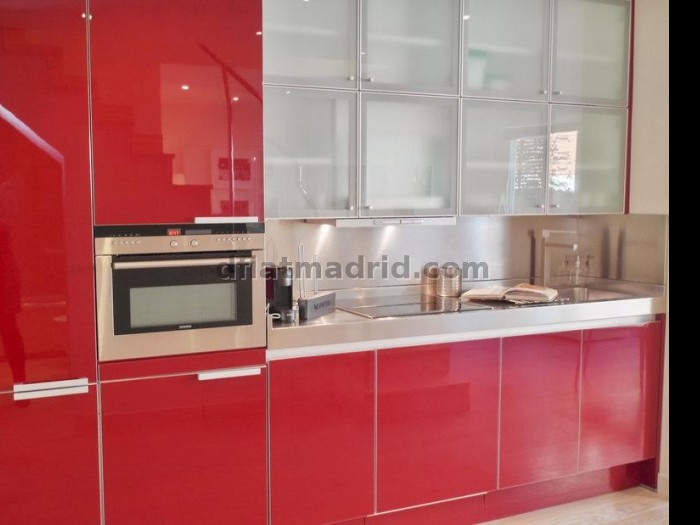 Spacious Apartment in Centro of 2 Bedrooms with terrace #1695 in Madrid