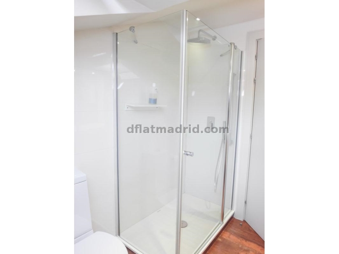 Spacious Apartment in Centro of 2 Bedrooms with terrace #1695 in Madrid