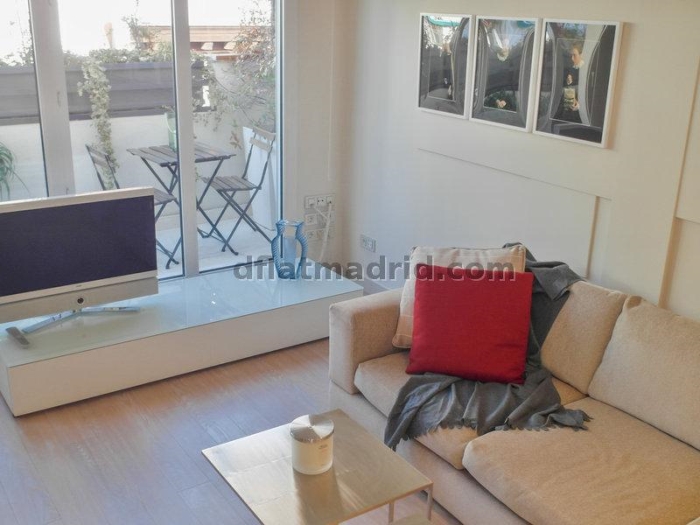 Spacious Apartment in Centro of 2 Bedrooms with terrace #1695 in Madrid