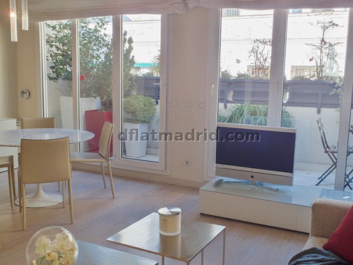 Spacious Apartment in Centro of 2 Bedrooms with terrace #1695 in Madrid