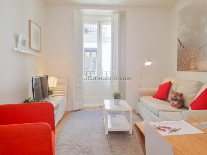 Apartamento Luminoso en Centro de 2 Dormitorios #1026 en Madrid