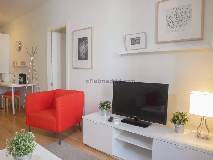 Apartamento Luminoso en Centro de 2 Dormitorios #1026 en Madrid