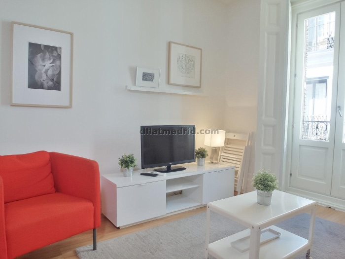 Apartamento Luminoso en Centro de 2 Dormitorios #1026 en Madrid