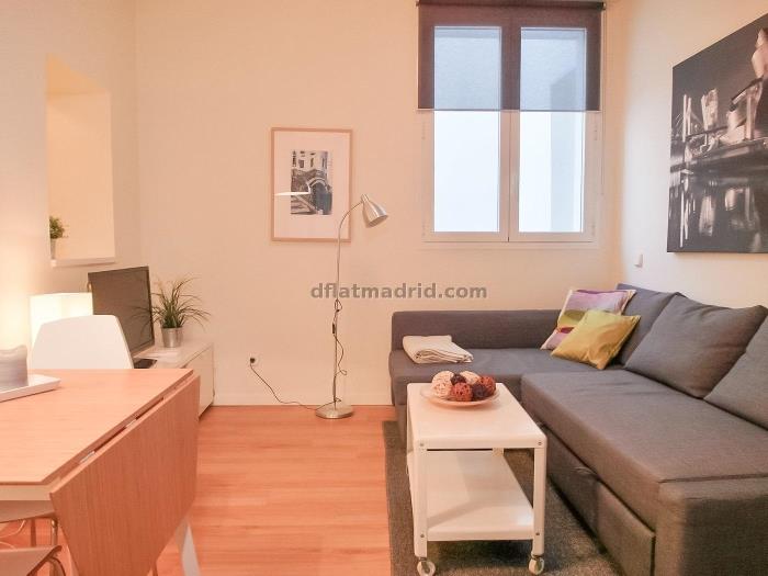 Quiet Apartment in Centro of 1 Bedroom #1029 in Madrid