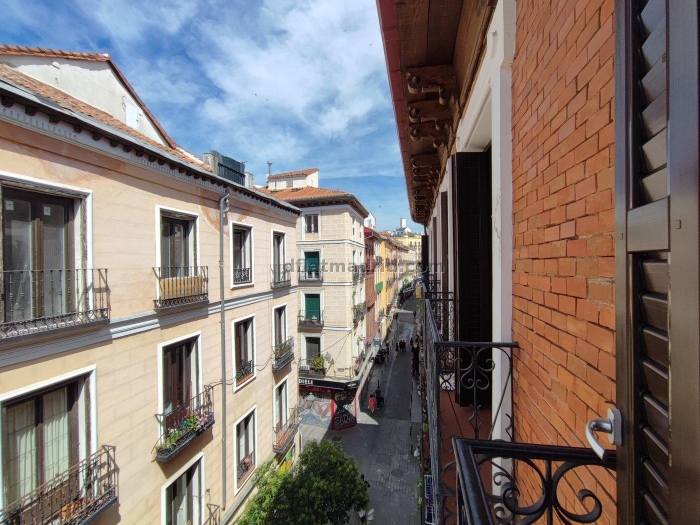 Spacious Apartment in Centro of 2 Bedrooms #1030 in Madrid