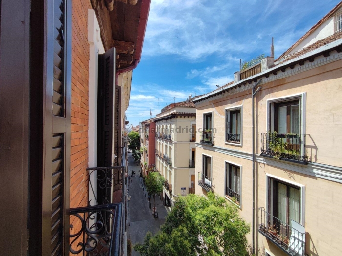 Spacious Apartment in Centro of 2 Bedrooms #1030 in Madrid