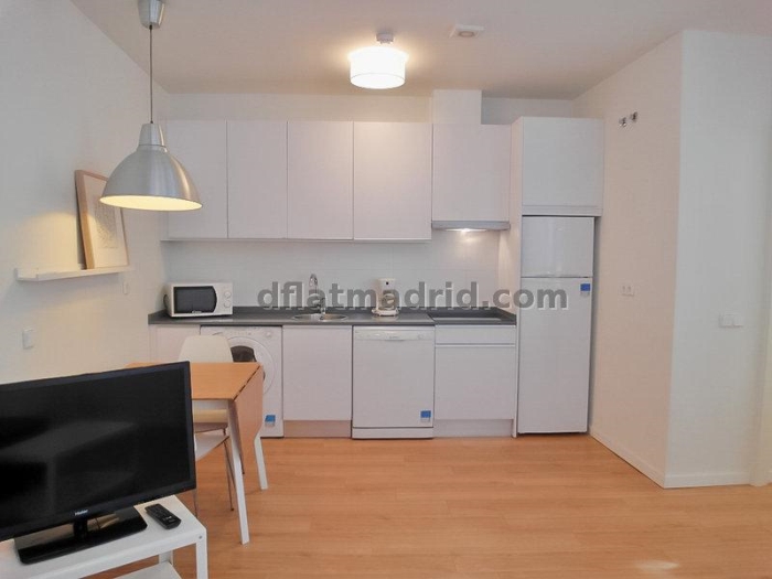 Apartamento Luminoso en Centro de 2 Dormitorios #1033 en Madrid