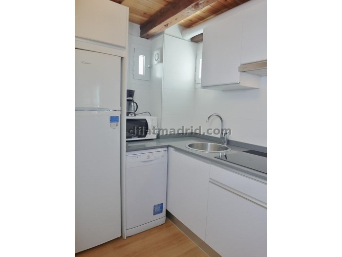 Quiet Penthouse in Centro of 1 Bedroom #1034 in Madrid