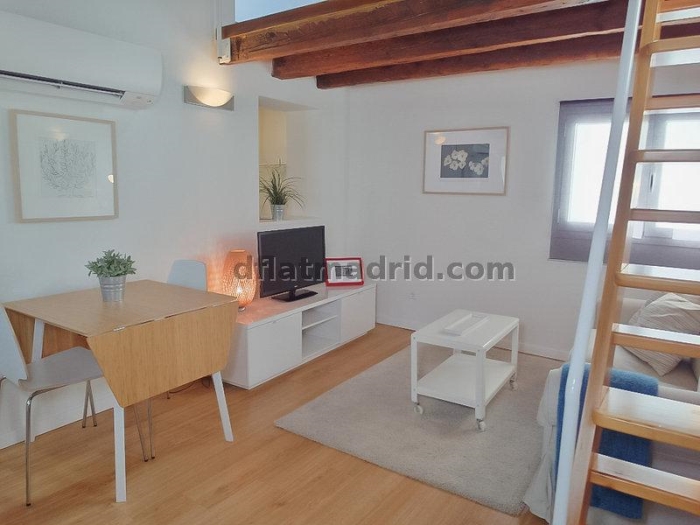 Quiet Penthouse in Centro of 1 Bedroom #1034 in Madrid