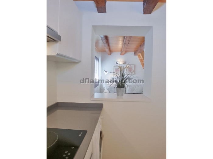 Quiet Penthouse in Centro of 1 Bedroom #1034 in Madrid