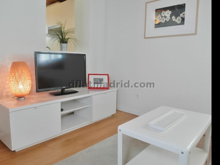 Quiet Penthouse in Centro of 1 Bedroom #1034 in Madrid