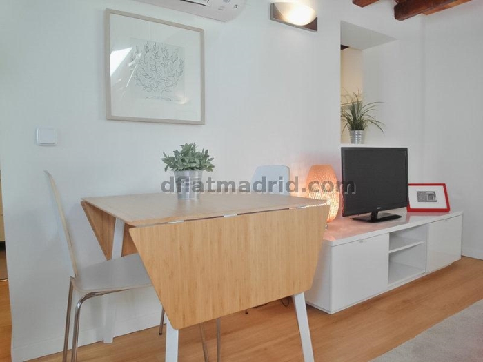 Quiet Penthouse in Centro of 1 Bedroom #1034 in Madrid