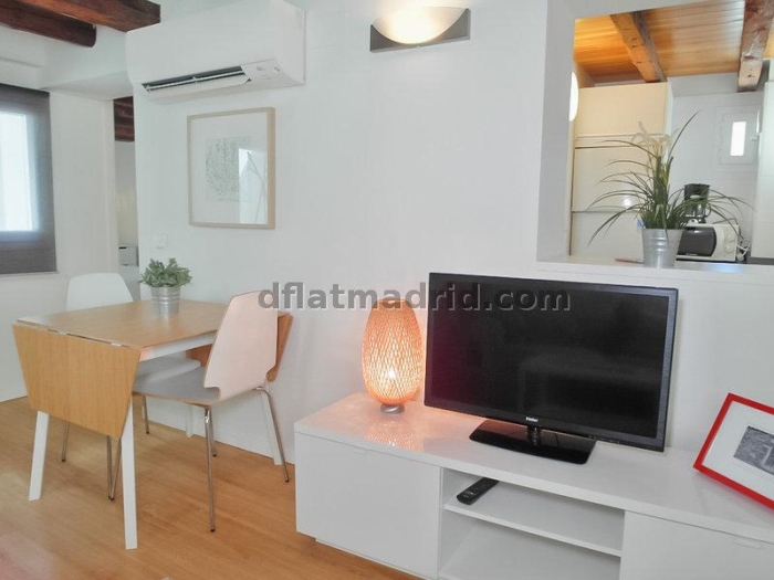 Quiet Penthouse in Centro of 1 Bedroom #1034 in Madrid