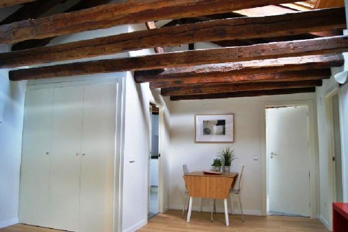 Bright Penthouse in Centro of 2 Bedrooms #1035 in Madrid