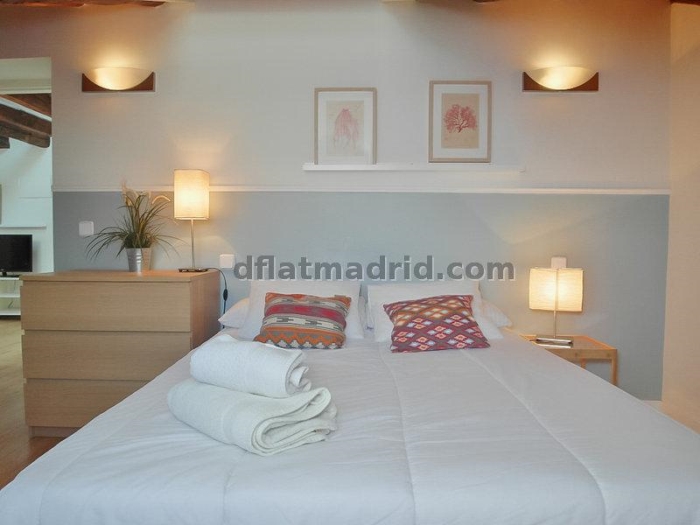 Bright Penthouse in Centro of 2 Bedrooms #1036 in Madrid