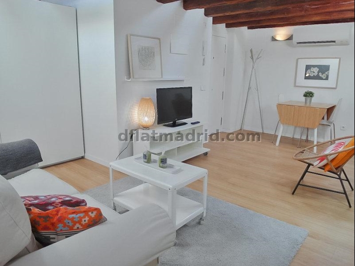 Bright Penthouse in Centro of 2 Bedrooms #1036 in Madrid