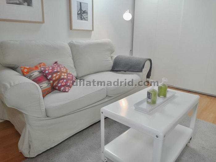 Bright Penthouse in Centro of 2 Bedrooms #1036 in Madrid