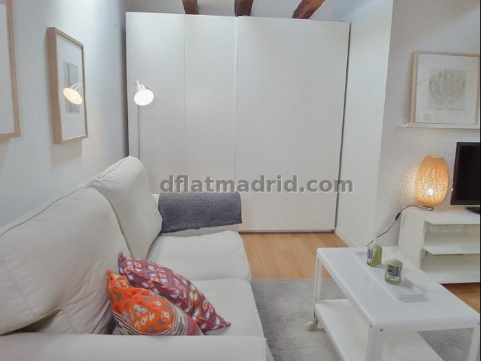 Bright Penthouse in Centro of 2 Bedrooms #1036 in Madrid