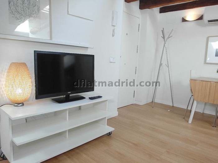 Bright Penthouse in Centro of 2 Bedrooms #1036 in Madrid