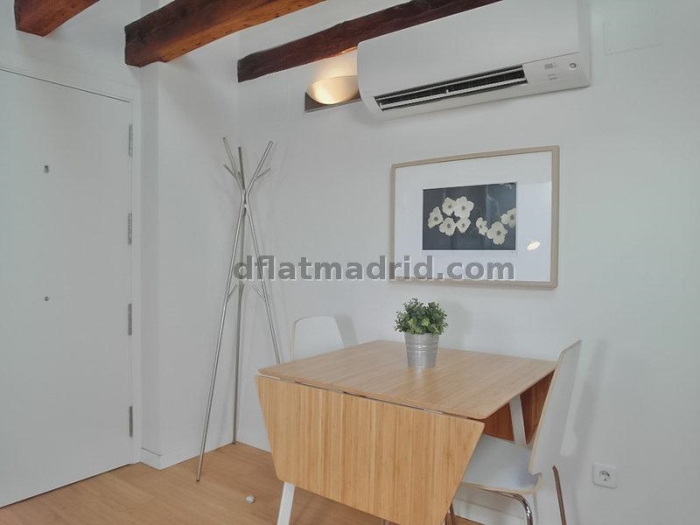 Bright Penthouse in Centro of 2 Bedrooms #1036 in Madrid