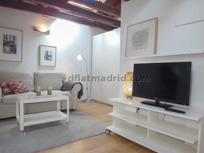 Bright Penthouse in Centro of 2 Bedrooms #1036 in Madrid