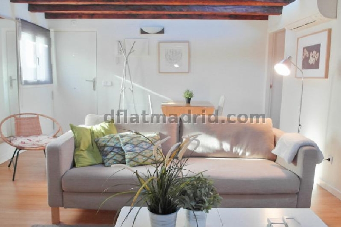 Bright Penthouse in Centro of 2 Bedrooms #1037 in Madrid