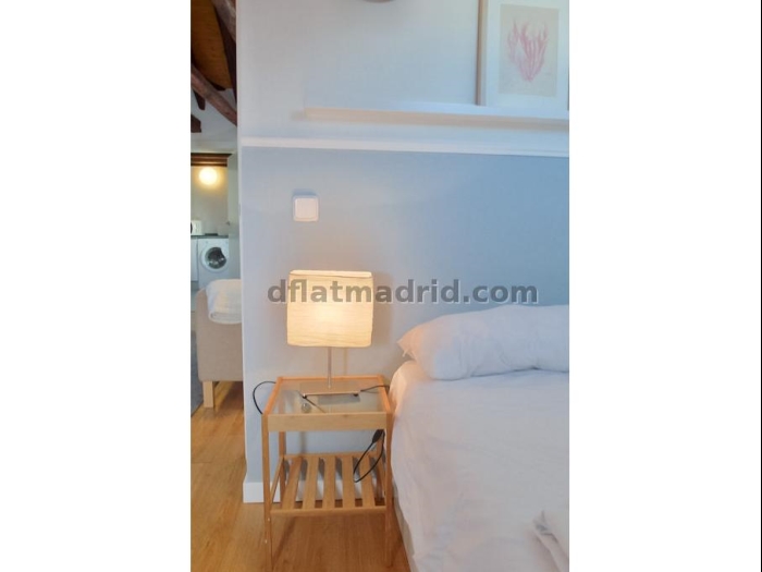 Bright Penthouse in Centro of 2 Bedrooms #1037 in Madrid