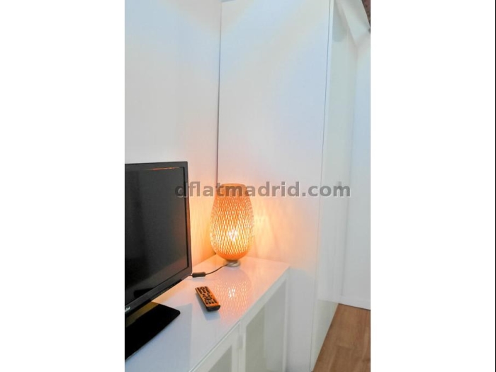 Bright Penthouse in Centro of 2 Bedrooms #1037 in Madrid