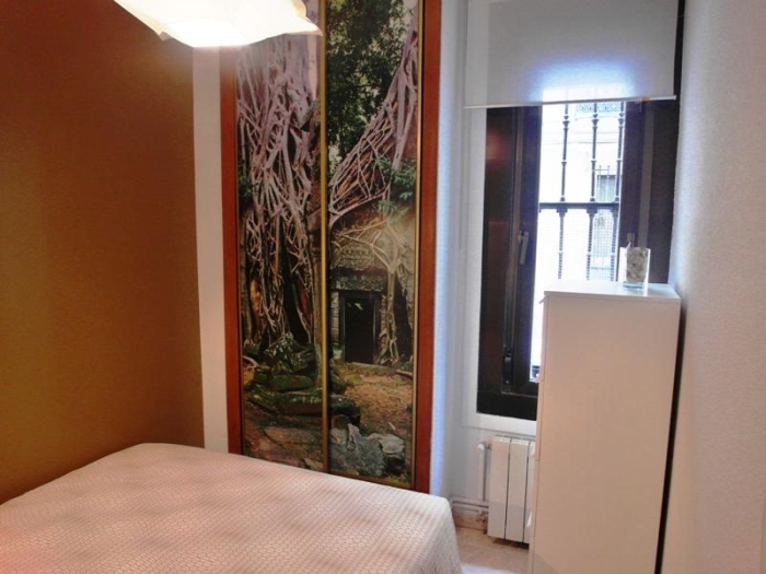 Cosy Apartment in Centro of 1 Bedroom #1089 in Madrid