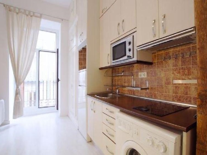 Bright Apartment in Centro of 1 Bedroom #1260 in Madrid