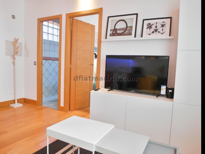 Apartamento Tranquilo en Chamartin de 1 Dormitorio #1789 en Madrid