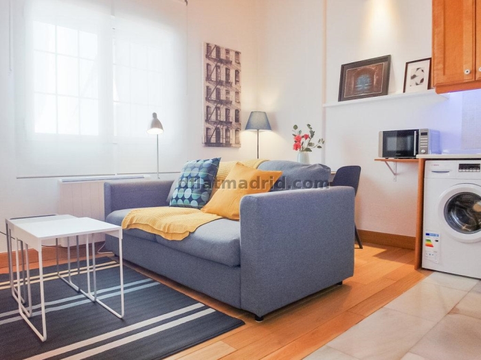 Apartamento Tranquilo en Chamartin de 1 Dormitorio #1789 en Madrid